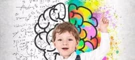 Desarrollo Cerebral en Edad Temprana